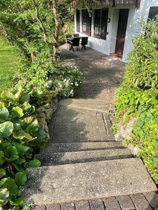 Ferienwohnung Zum Zauberwald Marsberg Exteriör bild